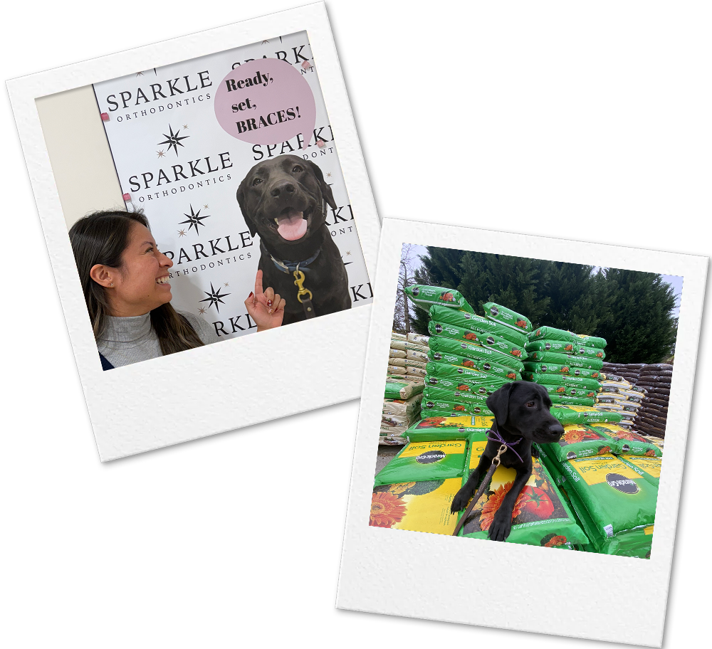 Polaroid rendering of Ella the dog with a patient and at the garden center